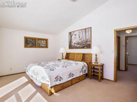 1133 Spring Valley Dr, Divide, CO 80814 photo 39
