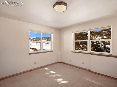 1133 Spring Valley Dr, Divide, CO 80814 photo 48