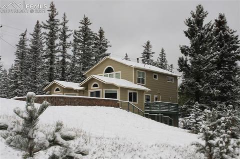 1133 Spring Valley Dr, Divide, CO 80814 photo 10