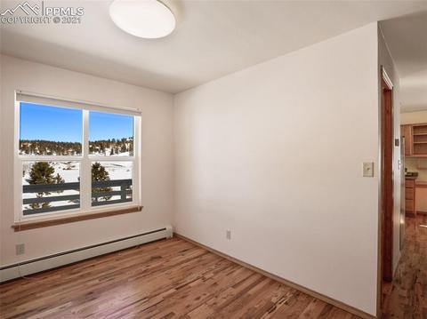 1133 Spring Valley Dr, Divide, CO 80814 photo 34