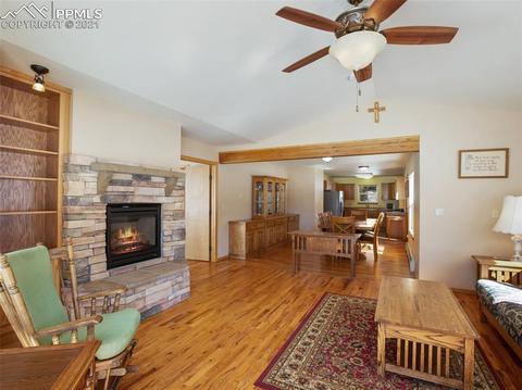 1133 Spring Valley Dr, Divide, CO 80814 photo 21