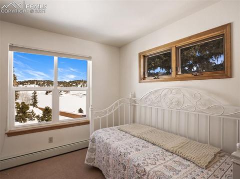 1133 Spring Valley Dr, Divide, CO 80814 photo 41