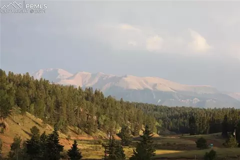 1133 Spring Valley Dr, Divide, CO 80814 photo 9