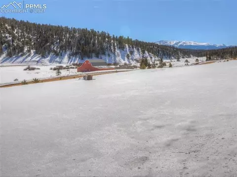 1133 Spring Valley Dr, Divide, CO 80814 photo 8