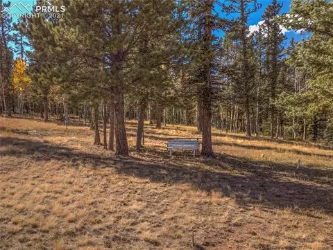 1133 Spring Valley Dr, Divide, CO 80814 photo 6