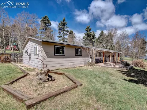 225 Nottingham Ln, Divide, CO 80814