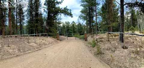 7826 Cedar Mountain Rd, Divide, CO 80814 photo 1