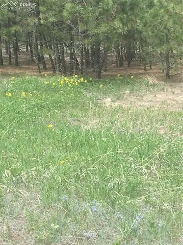 tbd Elbert Rd, Elbert, CO 80106 photo 7