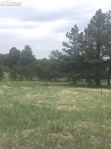 tbd Elbert Rd, Elbert, CO 80106 photo 9