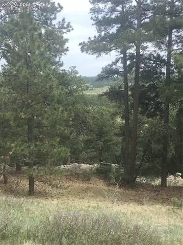 tbd Elbert Rd, Elbert, CO 80106 photo 5