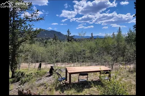 1031 Ute Trl, Como, CO 80432 photo 1