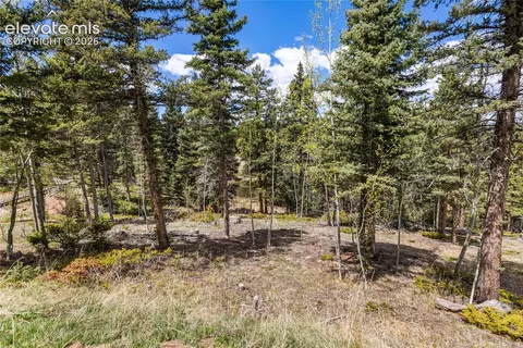 153 Moss Rock Ct, Divide, CO 80814 photo 39