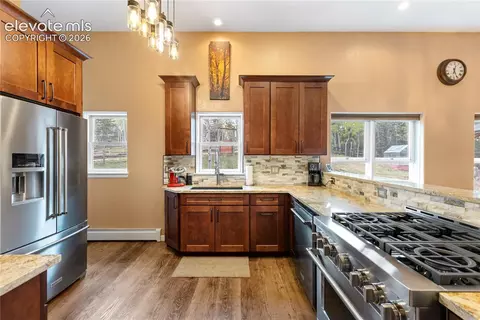 153 Moss Rock Ct, Divide, CO 80814 photo 8