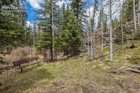153 Moss Rock Ct, Divide, CO 80814 photo 35