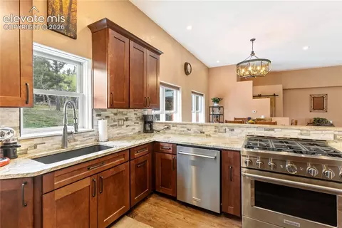 153 Moss Rock Ct, Divide, CO 80814 photo 14