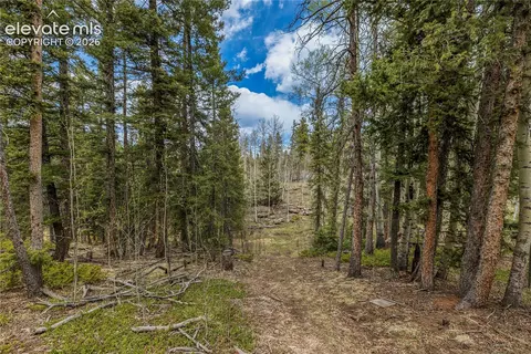 153 Moss Rock Ct, Divide, CO 80814 photo 30