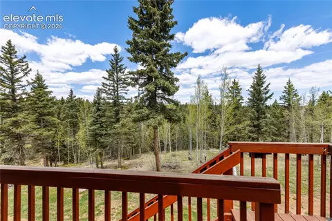 153 Moss Rock Ct, Divide, CO 80814 photo 40
