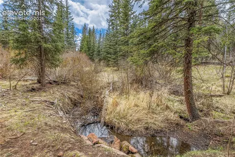 153 Moss Rock Ct, Divide, CO 80814 photo 32