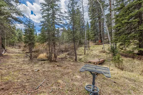 153 Moss Rock Ct, Divide, CO 80814 photo 31
