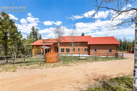 153 Moss Rock Ct, Divide, CO 80814