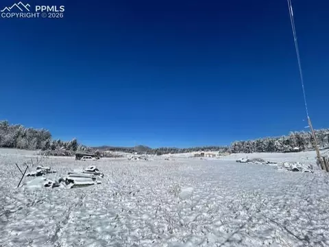 108 Wrangler Dr, Lake George, CO 80827