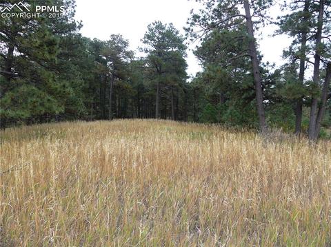 18115 Cumbres Rd, Peyton, CO 80831 photo 8