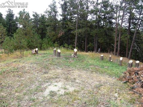 18115 Cumbres Rd, Peyton, CO 80831 photo 16