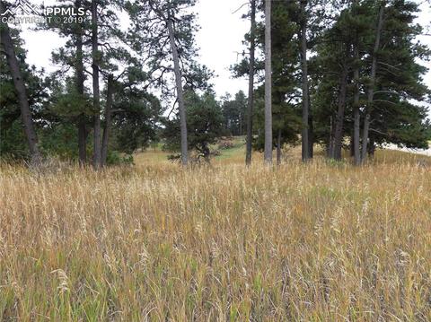 18115 Cumbres Rd, Peyton, CO 80831 photo 9