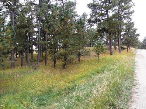 18115 Cumbres Rd, Peyton, CO 80831 photo 2