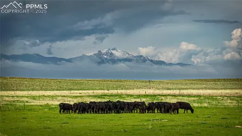 Squirrel Creek Road, Colorado Springs, CO 80928