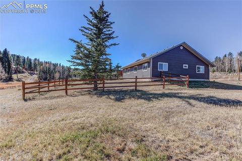717 Divide South Dr, Divide, CO 80814 photo 3
