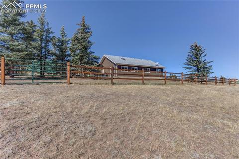 717 Divide South Dr, Divide, CO 80814 photo 5