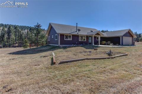 717 Divide South Dr, Divide, CO 80814 photo 1