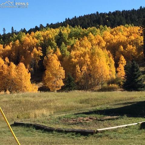 717 Divide South Dr, Divide, CO 80814 photo 37