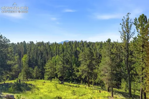 Other - 1509 County Road 25, Divide, CO 80814 photo 6 of 10