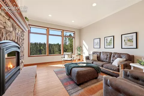 Living - 1509 County Road 25, Divide, CO 80814 photo 1 of 7