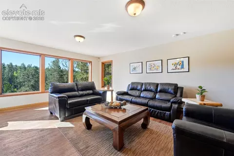 Living - 1509 County Road 25, Divide, CO 80814 photo 5 of 7