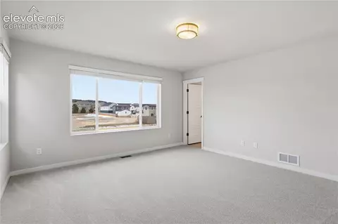 17737 Lemon Rye Loop, Monument, CO 80132 photo 11