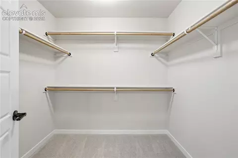 17737 Lemon Rye Loop, Monument, CO 80132 photo 15
