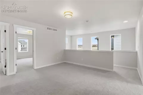 17737 Lemon Rye Loop, Monument, CO 80132 photo 7