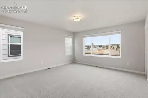 17737 Lemon Rye Loop, Monument, CO 80132 photo 9