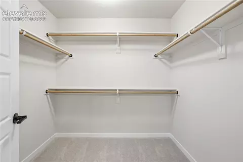 17737 Lemon Rye Loop, Monument, CO 80132 photo 15