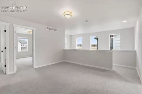 17737 Lemon Rye Loop, Monument, CO 80132 photo 7