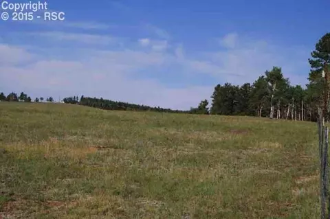 270 County Road 51 Na Na, Divide, CO 80814 photo 8