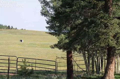 270 County Road 51 Na Na, Divide, CO 80814 photo 15