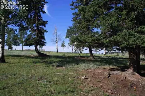 270 County Road 51 Na Na, Divide, CO 80814 photo 3