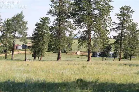 270 County Road 51 Na Na, Divide, CO 80814 photo 7