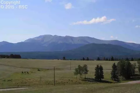 270 County Road 51 Na Na, Divide, CO 80814 photo 12
