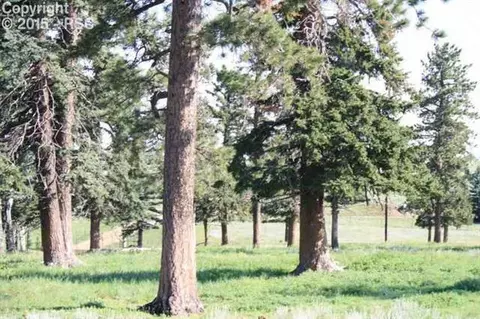 270 County Road 51 Na Na, Divide, CO 80814 photo 9