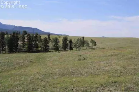 270 County Road 51 Na Na, Divide, CO 80814 photo 16
